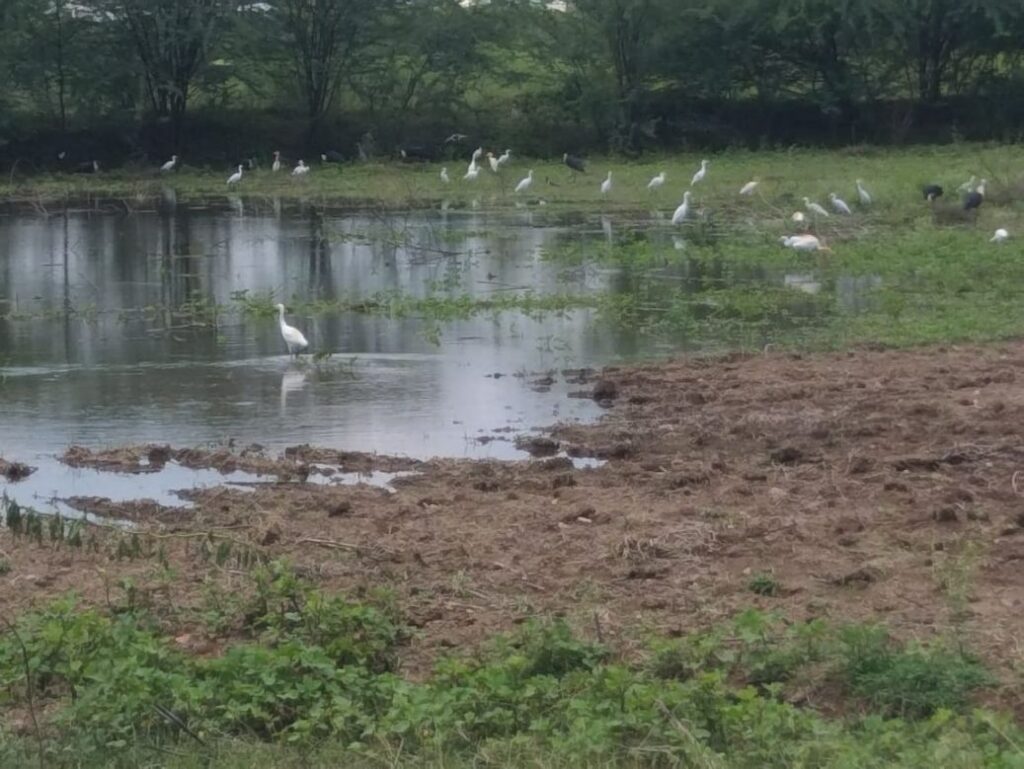 Water Catchment Areas